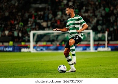 多伦多蓝鸟队在季后赛外卡轮不敌光芒被横扫